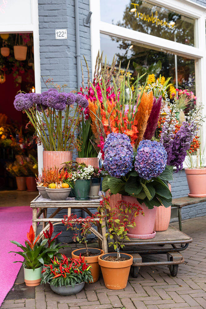 Bloemen en planten op de stoep voor de winkel
